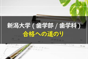 新潟大学(歯学部/歯学科)　受験情報まとめ