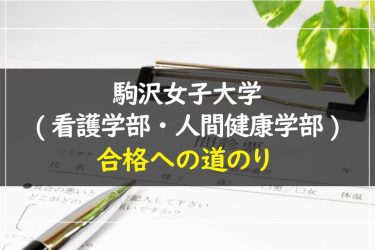 駒沢女子大学(看護学部・人間健康学部)　受験情報まとめ