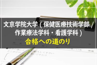 文京学院大学(保健医療技術学部/作業療法学科・看護学科)　受験情報まとめ