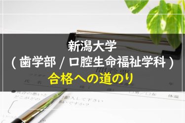 新潟大学(歯学部/口腔生命福祉学科)　受験情報まとめ